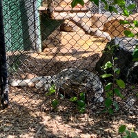 Photo taken at Assiniboine Park Zoo by Stephan V. on 8/24/2020