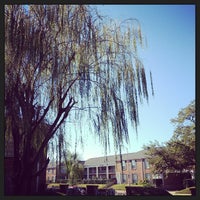 Review Fountain View Cafe