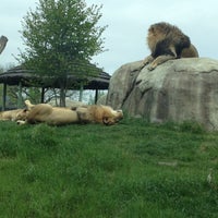 Photo taken at Dallas Zoo by Tuan N. on 4/26/2013