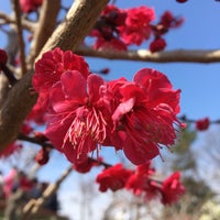 Photo taken at 荒子公園 by つぐ on 3/4/2018