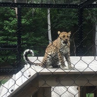 Photo taken at Cape May County Zoo Society by Annamarie on 7/11/2017