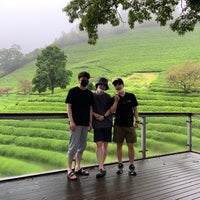 Photo taken at Boseong Dawon Green Tea Field by 신미남 on 8/21/2021