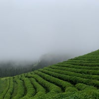 Photo taken at Boseong Dawon Green Tea Field by 신미남 on 8/21/2021