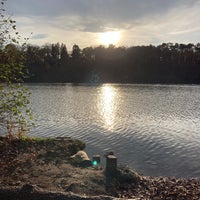 Photo taken at S Schlachtensee by Christian R. on 11/15/2020