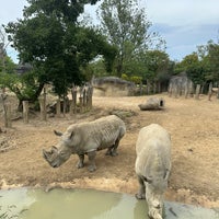 Photo taken at Parc Zoologique de Paris by M on 8/24/2023