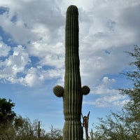 Photo taken at Desert Botanical Garden by Karen K. on 10/8/2023