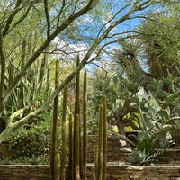 Das Foto wurde bei Desert Botanical Garden von Karen K. am 10/8/2023 aufgenommen