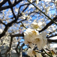 Photo taken at 本芝公園 by uny747 on 2/18/2021