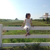 New Zealand Muadzam Shah Farm