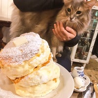 猫カフェ 猫音 にゃおん Cafe Para Mascotas En Osaka