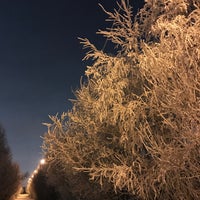 Photo taken at Комсомольское озеро by Vladimir on 11/29/2020
