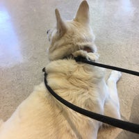 Photo taken at Overland Veterinary Clinic by Les C. on 6/22/2018