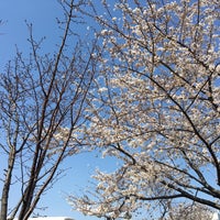 Photo taken at 東京消防庁 消防学校 グラウンド by ritsuko y. on 3/25/2018