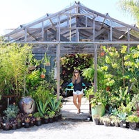 DIG Gardens - Eastside - 420 Water St