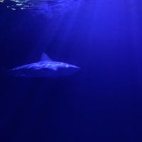 Foto diambil di Oklahoma Aquarium oleh Angie H. pada 3/20/2021