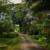 Photo taken at Bukit Brown Municipal Cemetery by Chas P. on 10/24/2021