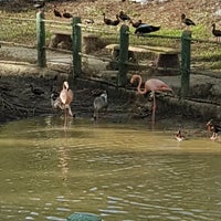 Foto tirada no(a) Parque Tematico. Hacienda Napoles por Jero M. em 5/10/2018