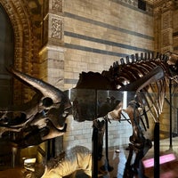 Photo taken at Dinosaur Gallery by Antonio P. on 4/16/2023