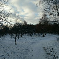 Photo taken at Яблоневый сад by Сергей К. on 11/12/2016
