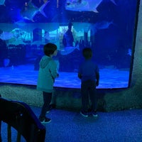 Photo taken at Aquarium Restaurant by Jodi A. on 3/7/2020