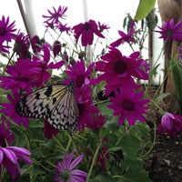 Photo taken at Butterfly World Project by David H. on 5/12/2013