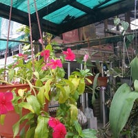 Grace Garden Flower Shop In Kota Bharu