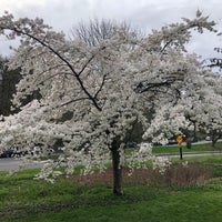 Photo taken at Washington Park Arboretum Hollies by Gany on 4/4/2021