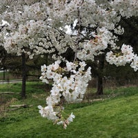 Photo taken at Washington Park Arboretum Hollies by Gany on 4/4/2021