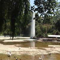 Photo taken at Parque México by Diana Q. on 5/1/2013