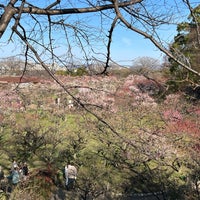 Photo taken at Osaka Castle Plum Orchard by Drひとむ on 2/24/2024