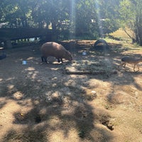 Photo taken at Greater Vancouver Zoo by Roman A. on 8/30/2021