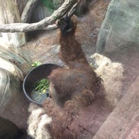 Photo taken at Orangutan Exhibit by Casey B. on 2/14/2018