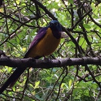 Photo taken at African Aviary by Casey B. on 6/15/2018