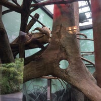 Photo taken at Two Toed Sloth by Casey B. on 5/3/2017