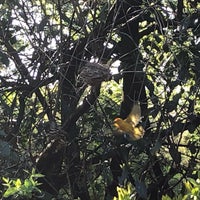 Photo taken at African Aviary by Casey B. on 5/7/2019