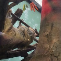 Photo taken at Two Toed Sloth by Casey B. on 4/9/2019