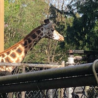 Photo taken at Giraffe Barn by Casey B. on 5/7/2019