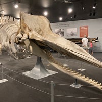 8/6/2021にBijoy G.がNew Bedford Whaling Museumで撮った写真