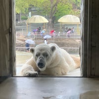 東山動物園 ホッキョクグマ舎 千種区 Nagoia 愛知県