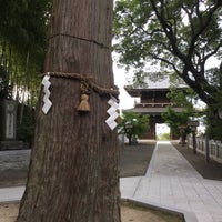 石鎚神社のひのき 5 Visitors