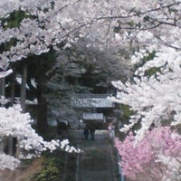 青蓮山 酒波寺 Templo Budista 青蓮山 酒波寺 Templo Budista