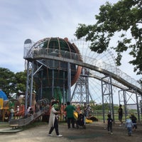やったねの木 126 Visitors
