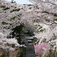 青蓮山 酒波寺 Templo Budista 青蓮山 酒波寺 Templo Budista