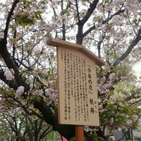 造幣局 桜の通り抜け 梅田 12 Tips
