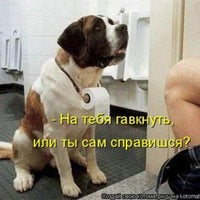 Photo taken at www.dog-star.com.ua by Denis V. on 10/31/2014