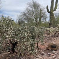 Foto scattata a Desert Botanical Garden da Michael M. il 2/24/2024