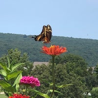 Photo taken at Chaumette Vineyards &amp;amp; Winery by Calie W. on 8/9/2020