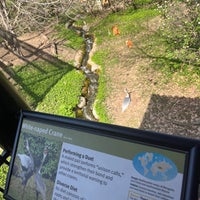 3/30/2024 tarihinde Trisha G.ziyaretçi tarafından Saint Louis Zoo'de çekilen fotoğraf