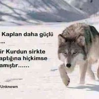 star arena machinist mehmet nesih ozmen merter