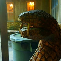 saloon rattlesnake